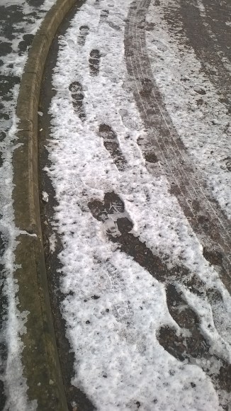 WP_20160116_10_27_01_Pro