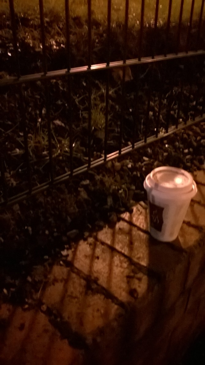 WP_20160120_06_06_51_Pro