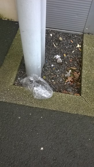 WP_20160124_09_40_10_Pro