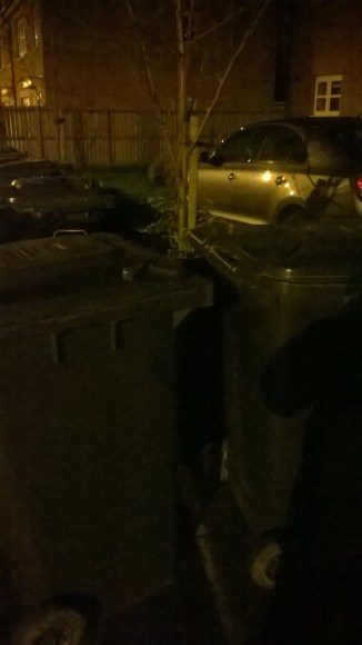 WP_20160217_00_03_57_Pro