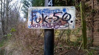 WP_20160313_14_29_54_Pro