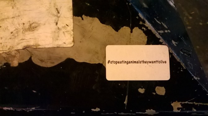 WP_20160314_18_59_36_Pro