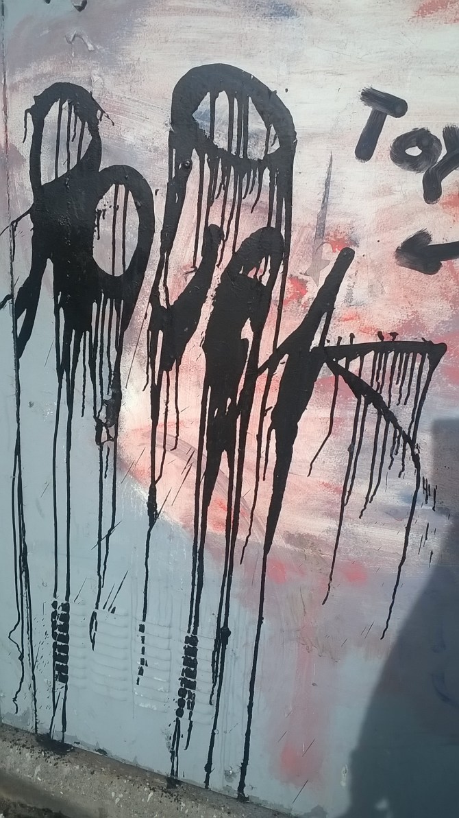 WP_20160325_15_49_20_Pro