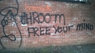 WP_20160327_19_41_04_Pro