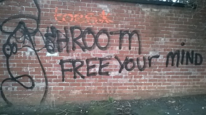 WP_20160327_19_41_04_Pro