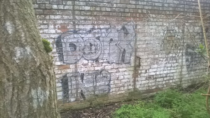 WP_20160414_19_45_54_Pro