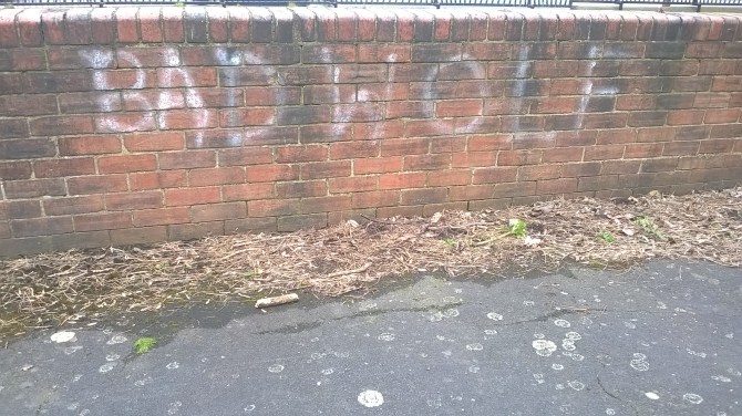 WP_20160417_15_16_14_Pro