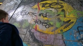 WP_20160417_15_35_53_Pro