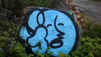 WP_20160512_20_11_14_Pro