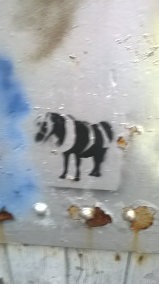 WP_20160512_20_18_51_Pro