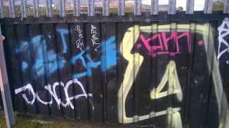 WP_20160513_18_41_50_Pro