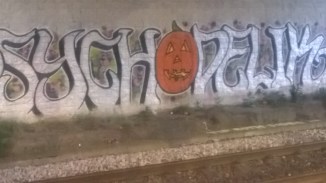 WP_20160518_21_29_05_Pro