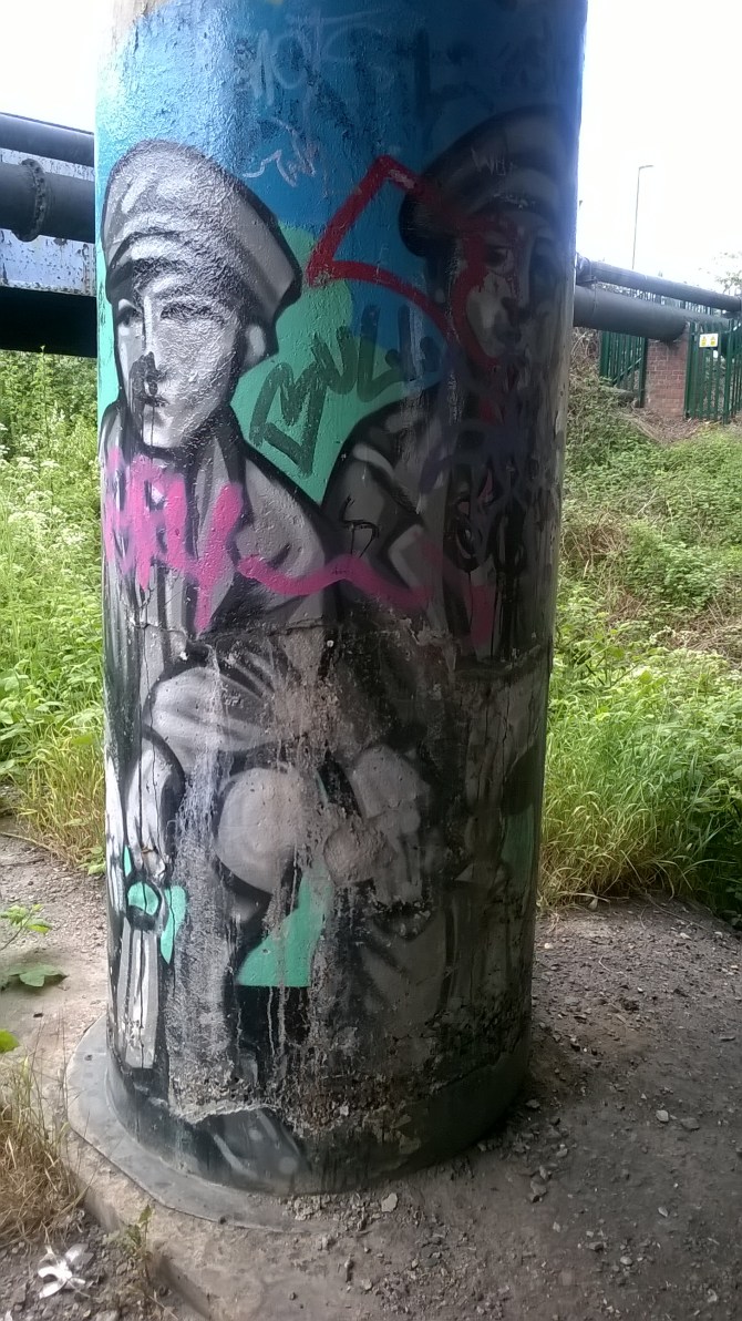 WP_20160522_10_23_08_Pro