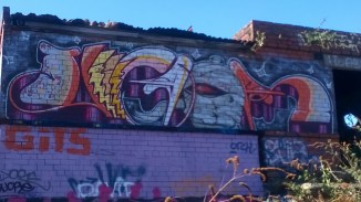 WP_20160410_15_19_52_Pro