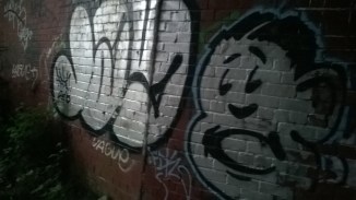 WP_20160603_21_52_08_Pro 1