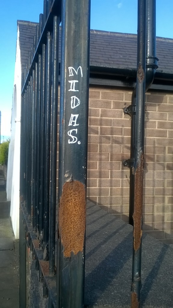 WP_20160702_19_26_17_Pro