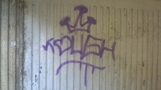 WP_20160702_19_53_07_Pro