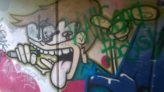 WP_20160702_20_15_17_Pro