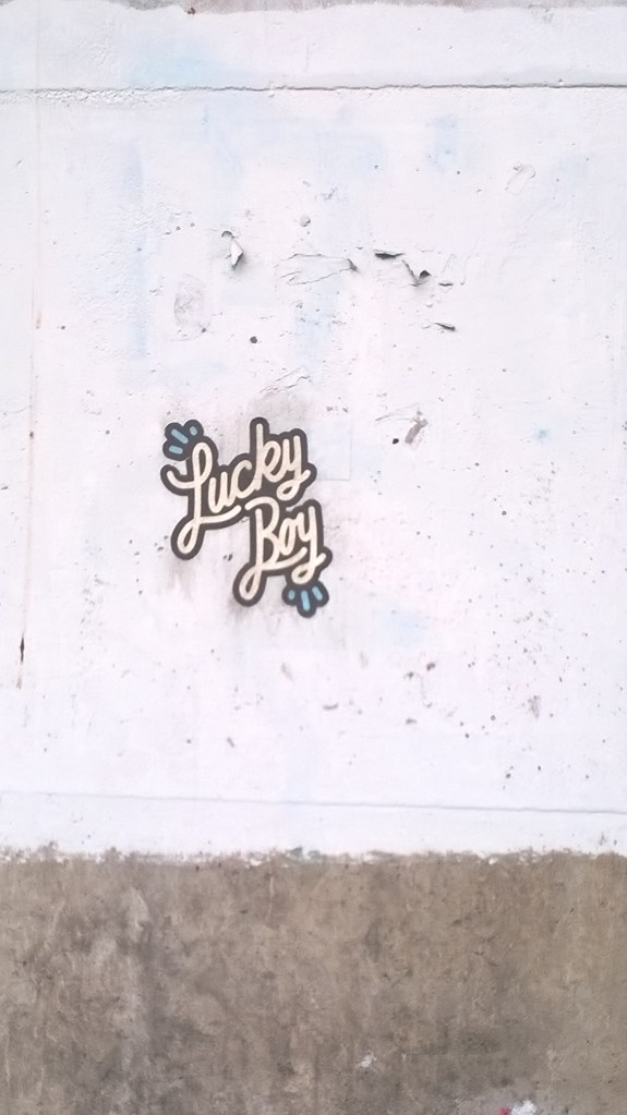 WP_20160703_13_49_46_Pro