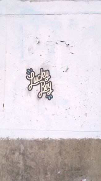 WP_20160703_13_49_46_Pro