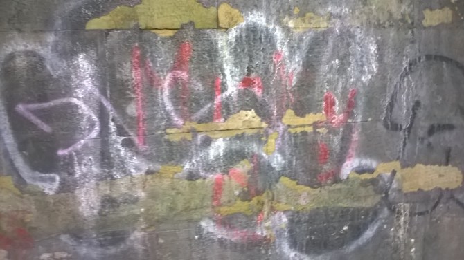 WP_20160703_14_22_11_Pro