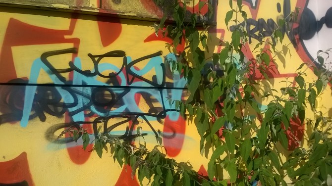 WP_20160719_18_58_48_Pro