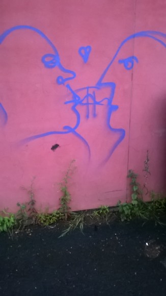 WP_20160728_20_27_38_Pro