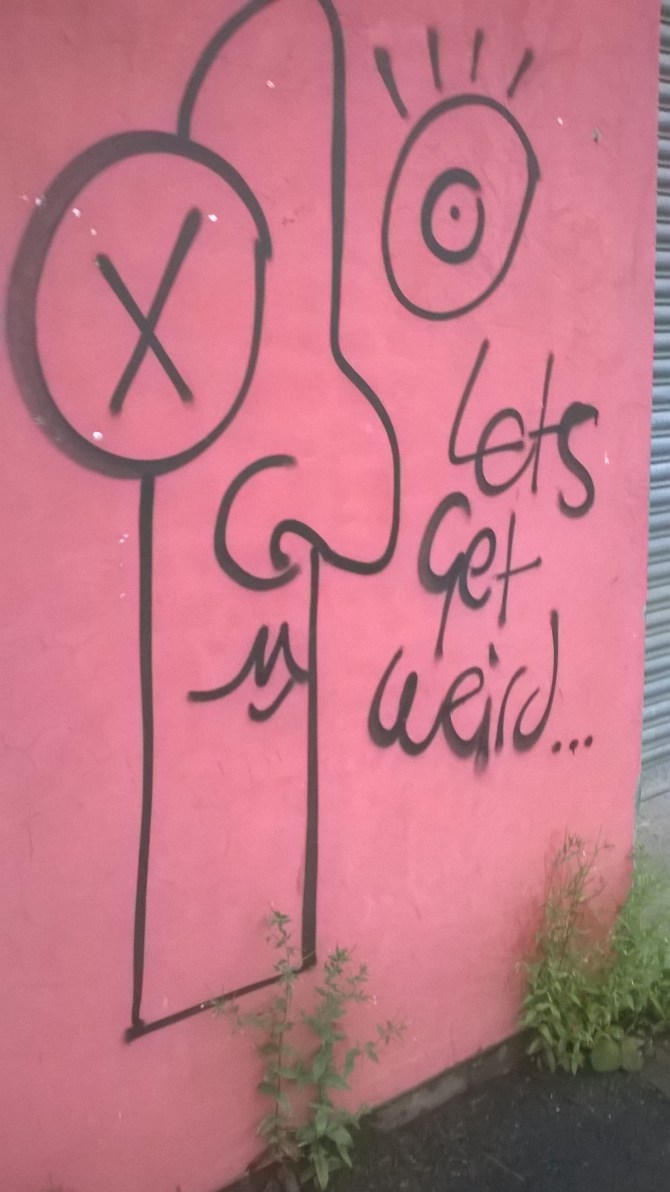 WP_20160728_20_27_46_Pro