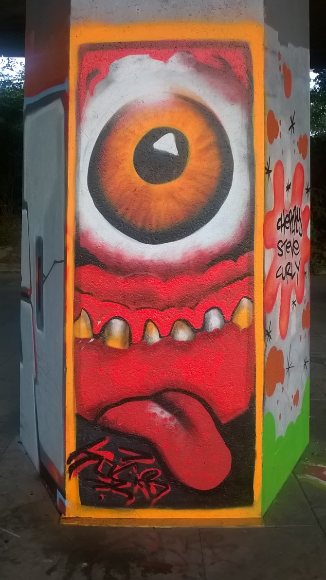 WP_20160809_06_00_02_Pro