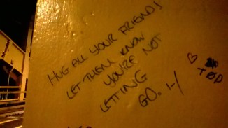 WP_20160828_22_00_21_Pro