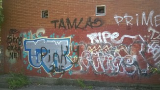 WP_20160829_13_17_09_Pro