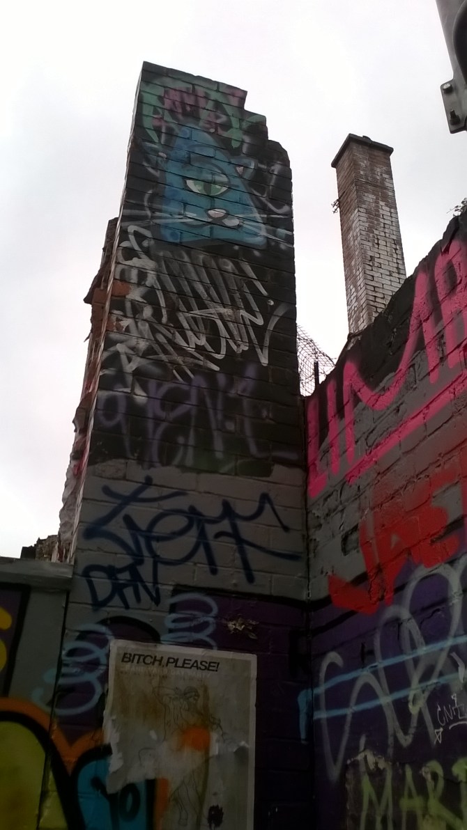 wp_20160902_12_46_19_pro