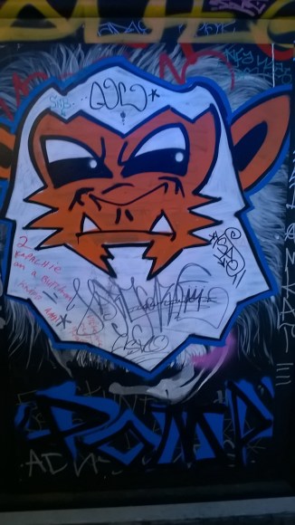 wp_20160902_12_49_51_pro