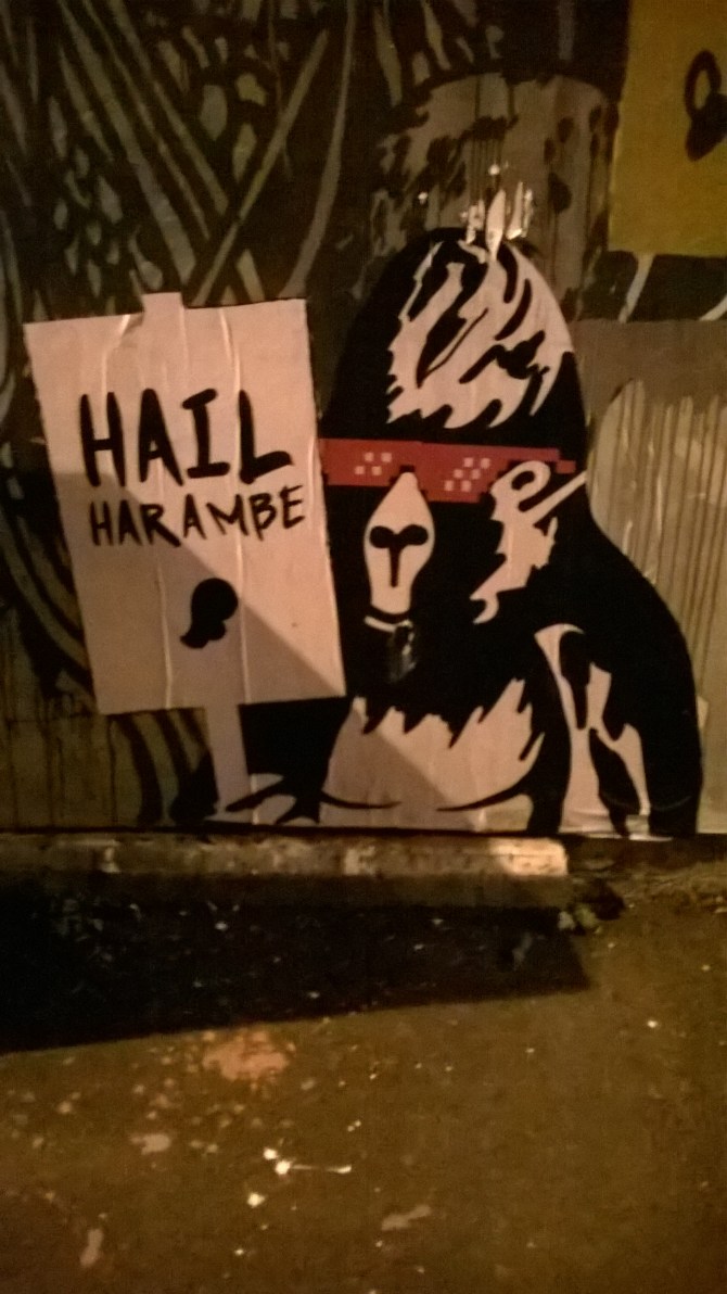 wp_20160916_22_37_46_pro