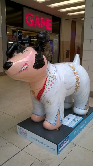 wp_20160921_13_47_24_pro