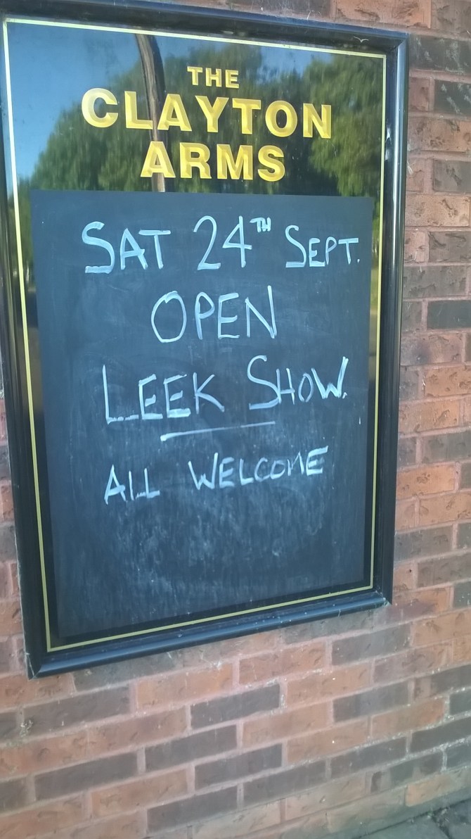 wp_20160923_08_35_19_pro