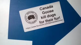 wp_20160923_09_56_53_pro