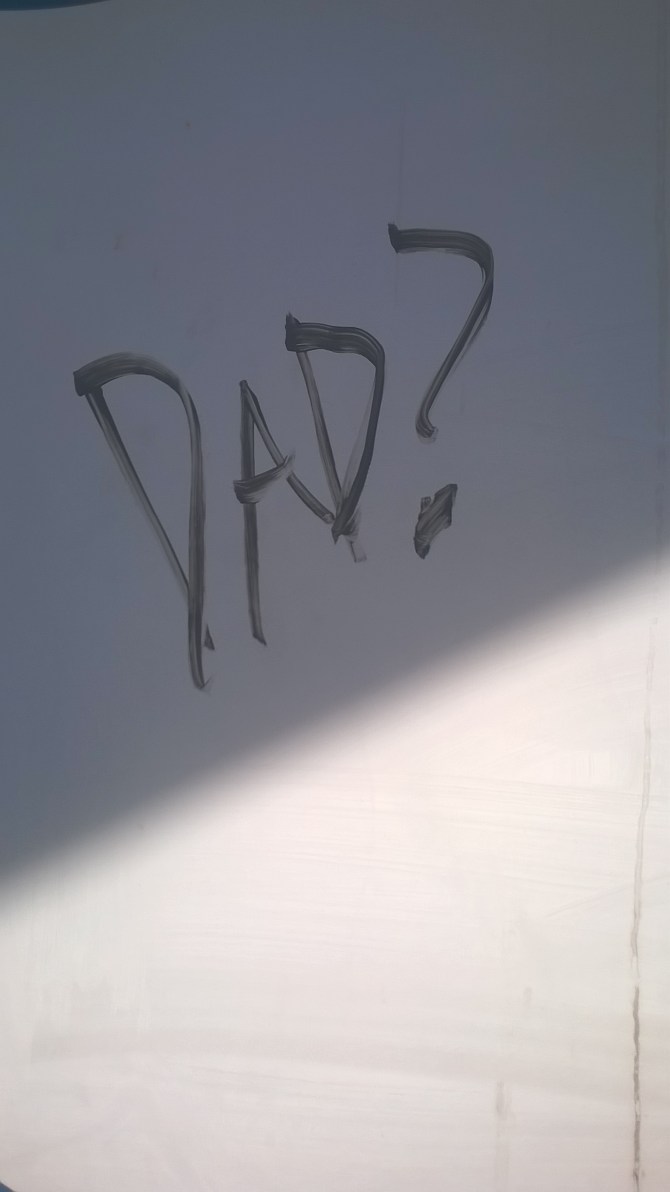 wp_20160923_10_04_54_pro