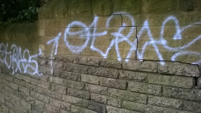 wp_20160924_12_31_09_pro