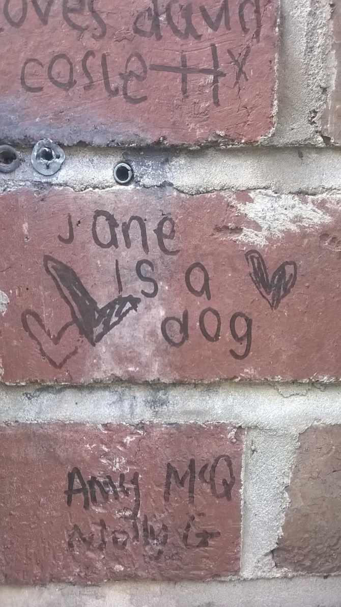 wp_20160926_11_35_51_pro