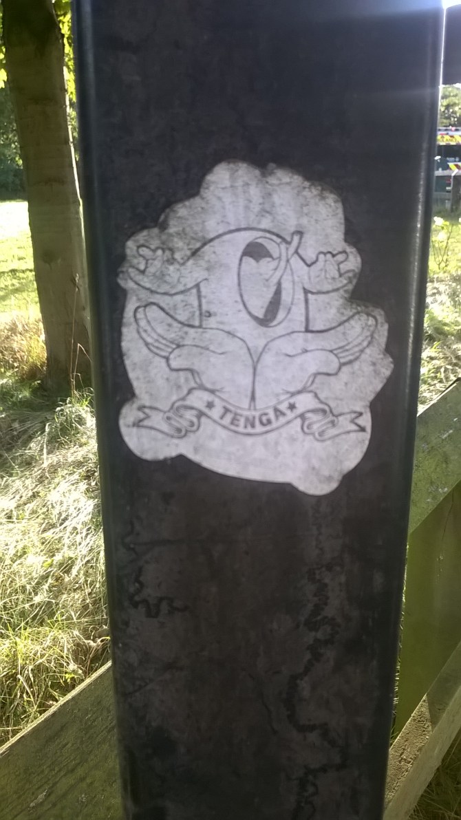 wp_20160928_17_16_27_pro