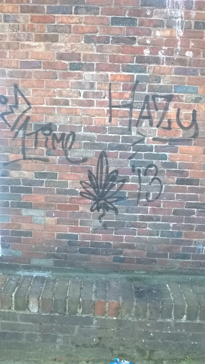 wp_20160928_17_42_14_pro