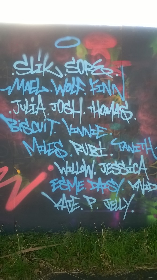 wp_20161001_16_59_12_pro