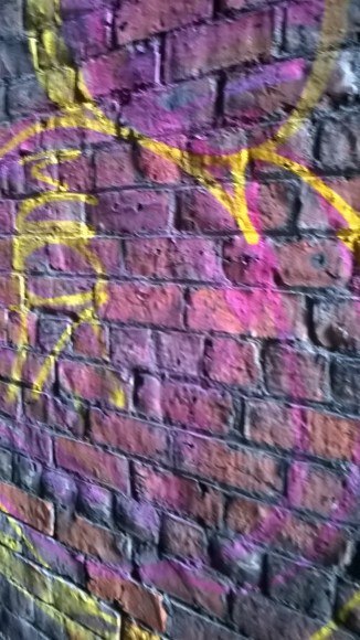 wp_20161002_14_57_35_pro-1