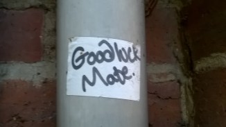 wp_20161002_14_59_03_pro