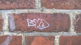 wp_20161015_13_41_34_pro