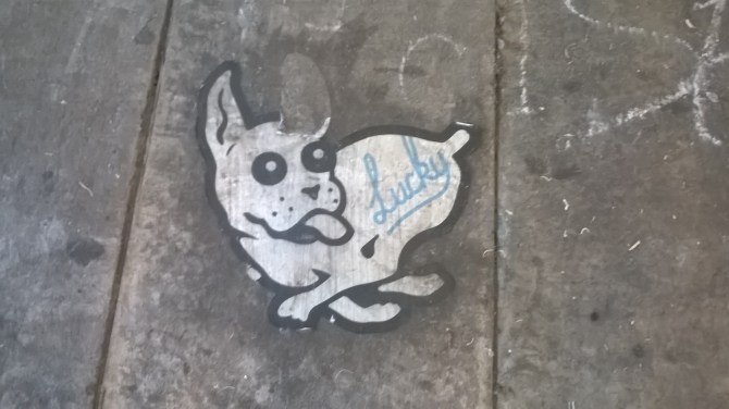 wp_20161017_17_38_28_pro