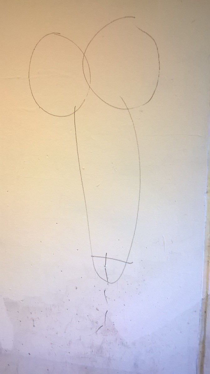 wp_20161021_17_05_32_pro