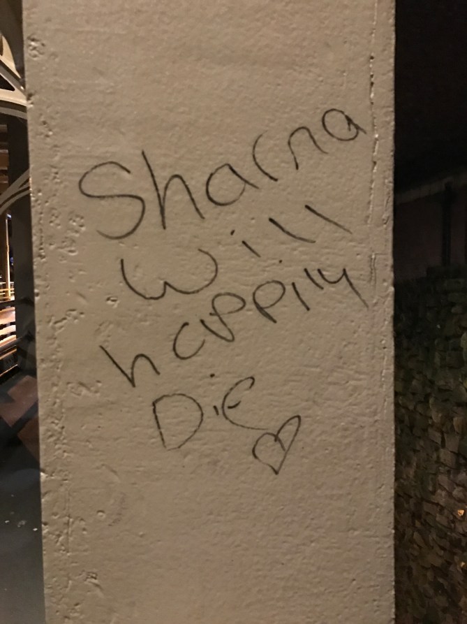 20161127_031729824_ios