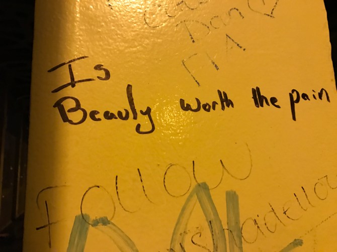 20161127_032229500_ios